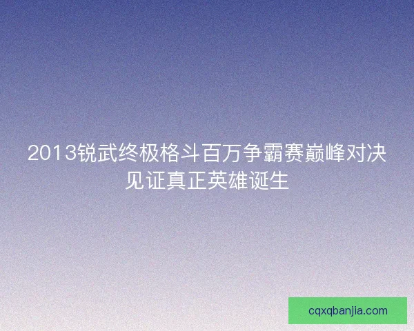 2013锐武终极格斗百万争霸赛巅峰对决见证真正英雄诞生