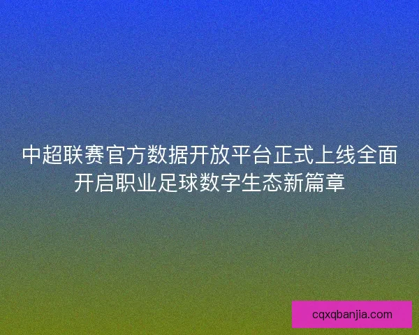中超联赛官方数据开放平台正式上线全面开启职业足球数字生态新篇章