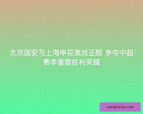 北京国安与上海申花激战正酣 争夺中超赛季重要胜利荣耀