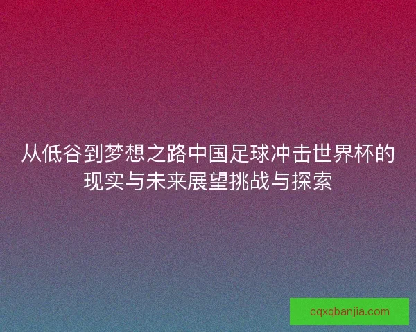 从低谷到梦想之路中国足球冲击世界杯的现实与未来展望挑战与探索