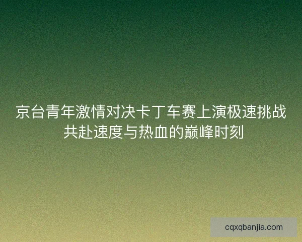 京台青年激情对决卡丁车赛上演极速挑战 共赴速度与热血的巅峰时刻